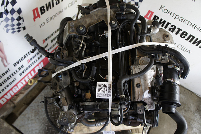 Фотография контрактного двигателя сверху Nissan YD25