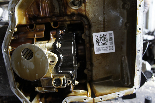Фотография блока двигателя без поддона (коленвала) BMW M62 B(35 8 S1)
