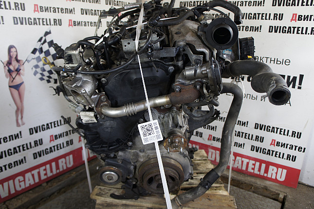 Двигатель вид с боку Nissan YD25