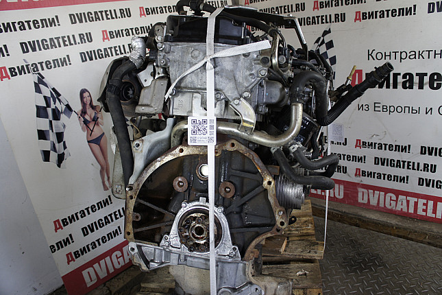 Контрактный двигатель Nissan YD25