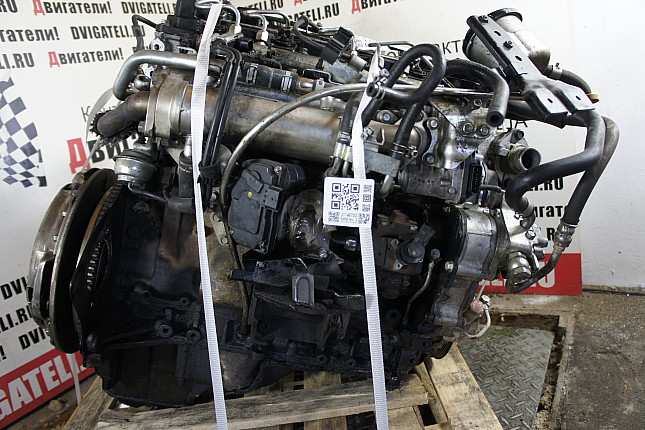 Фотография мотора Nissan ZD30DDTi