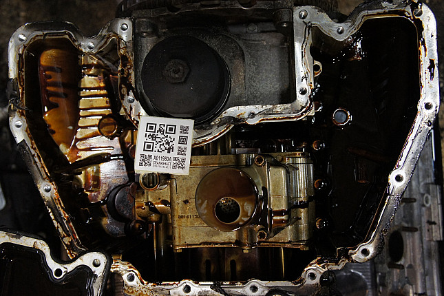 Фотография блока двигателя без поддона (коленвала) BMW N 62 B 44A